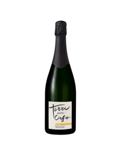 TERREDELLORSO BRUT MAGNUM...
