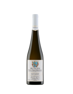 SAUVIGNON DOC FRIULI...