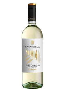 PINOT GR D/V DOC CA'...