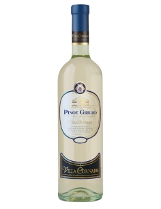 PINOT GRIGIO VENEZ. DOC...