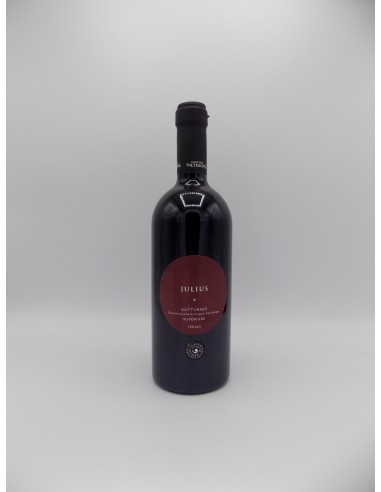 JULIUS GUTTURNIO SUPERIORE FERMO DOC