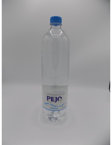 ACQUA PEJO GAS  LT 1 X 12 PET