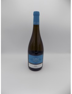 VERMENTINO MAREMMA TOSCANA IGT