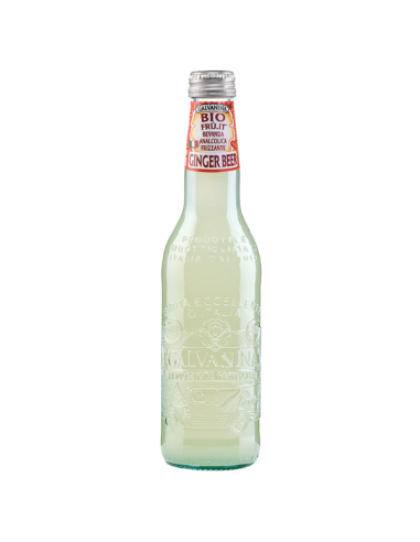 GALVANINA GINGER BEER BIO ML 355