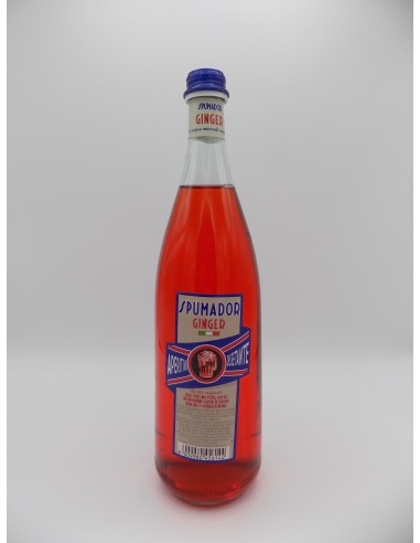 SPUMA SPUMADOR LT 0.92 GINGER