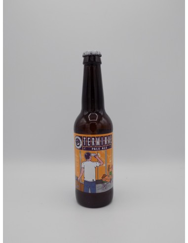 BIRRA TERMINAL PALE ALE CL 0.33